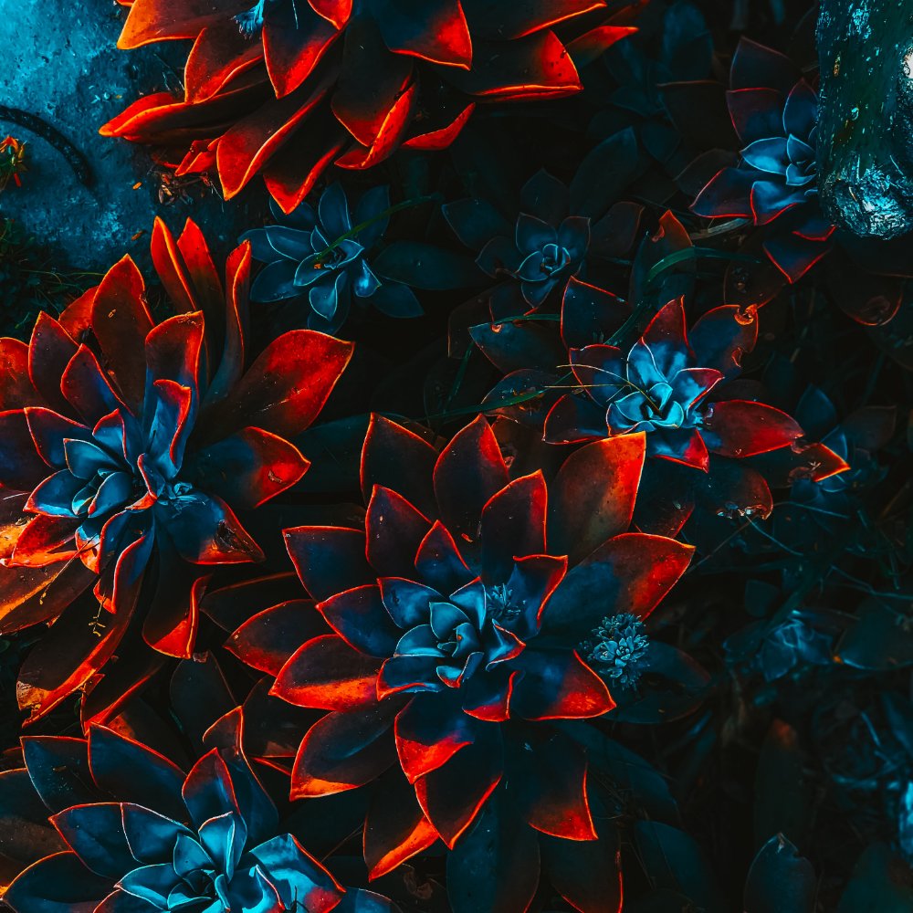 freelance artist floral 4 freelance artist floral 4