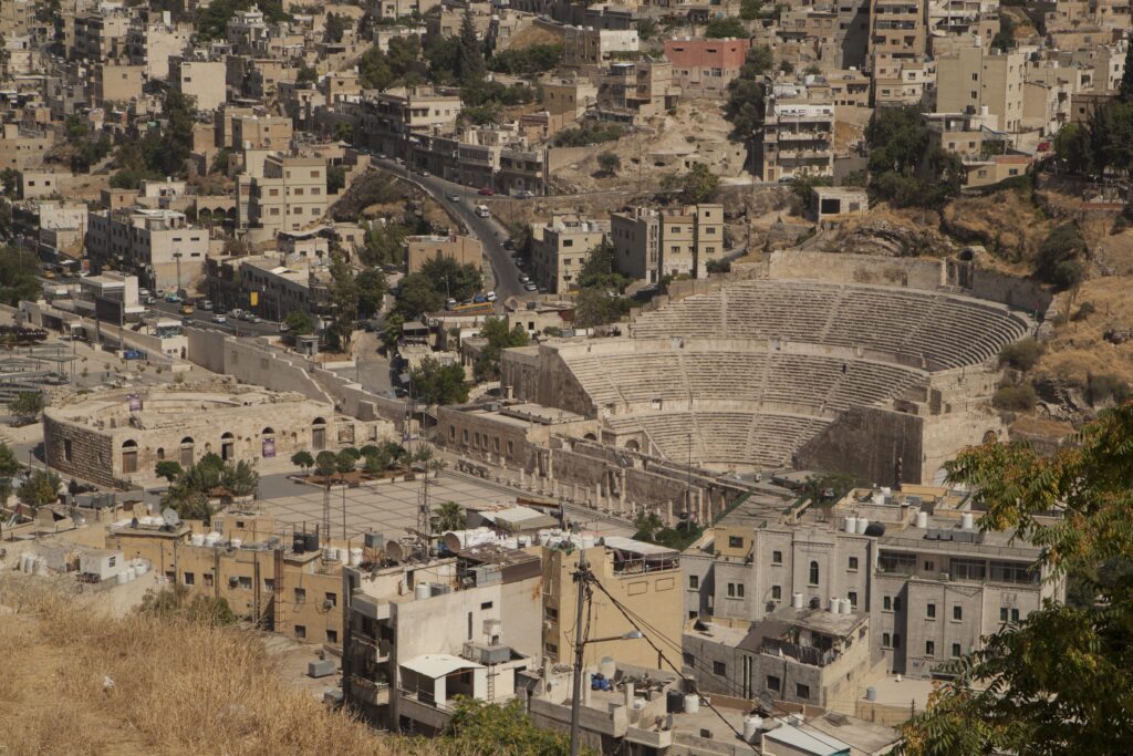 Echiea amman7