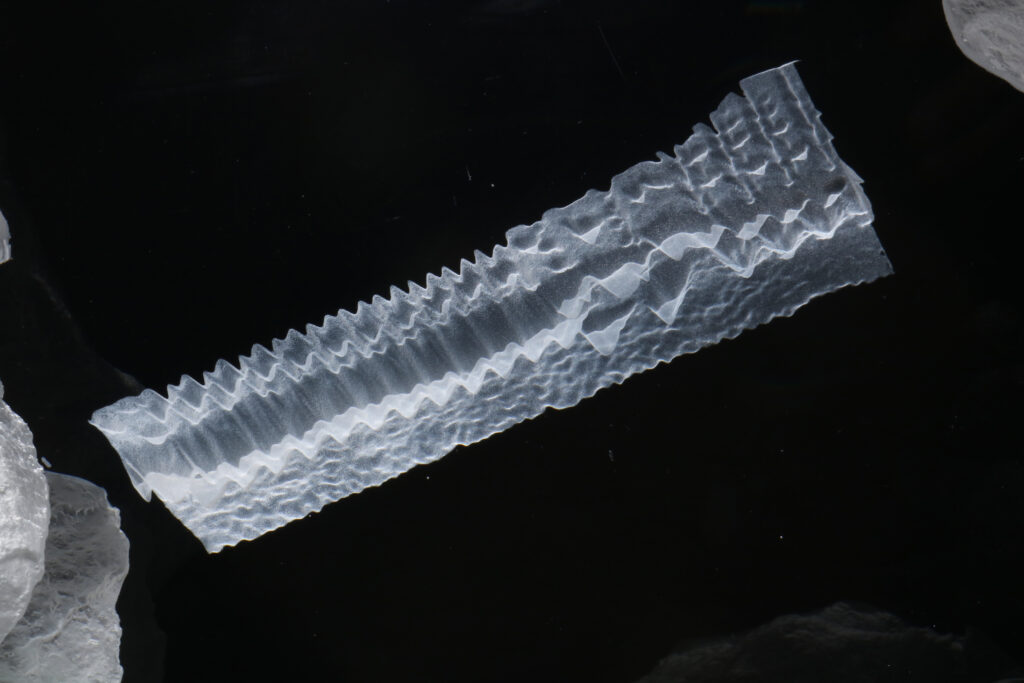 r2108 early morning wren in tout quarry detail b